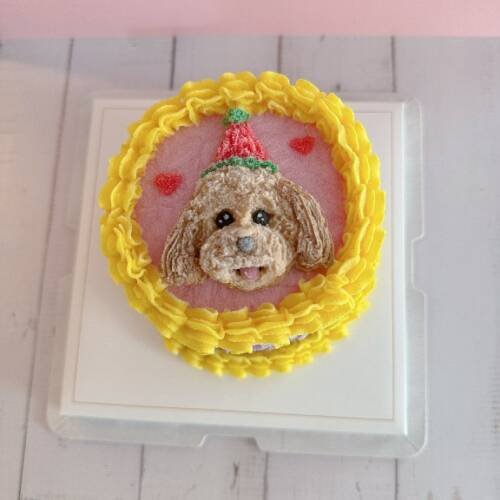 Pet Cakes