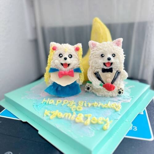 Pet Cakes